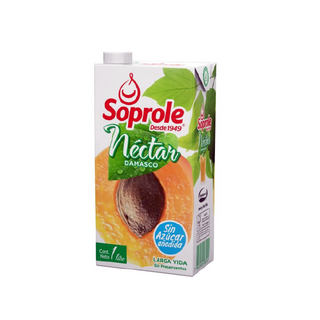 Nectar Soprole 1 Lt Damasco