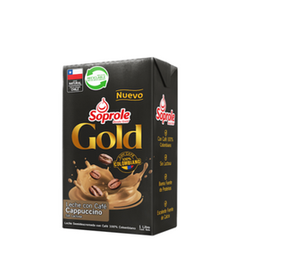 Leche Capuccino Gold Soprole 1l