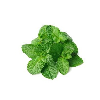 Menta 1kg